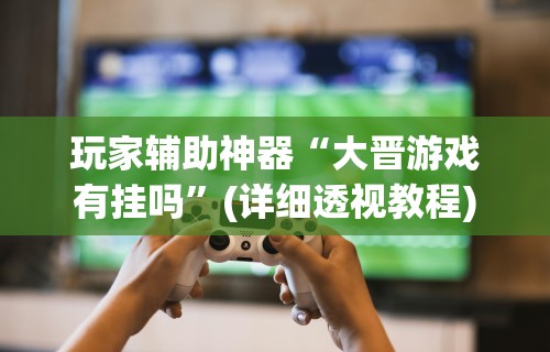 玩家辅助神器“大晋游戏有挂吗”(详细透视教程)