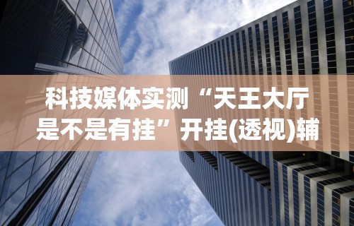 科技媒体实测“天王大厅是不是有挂”开挂(透视)辅助教程