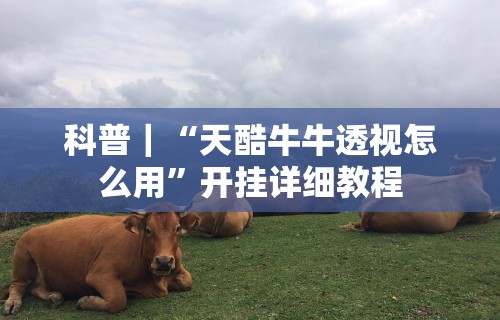科普｜“天酷牛牛透视怎么用”开挂详细教程