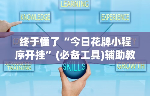 终于懂了“今日花牌小程序开挂”(必备工具)辅助教学