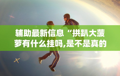 辅助最新信息“拱趴大菠萝有什么挂吗,是不是真的”(果然有透视挂)