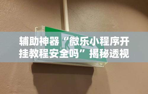 辅助神器“微乐小程序开挂教程安全吗”揭秘透视辅助万能挂
