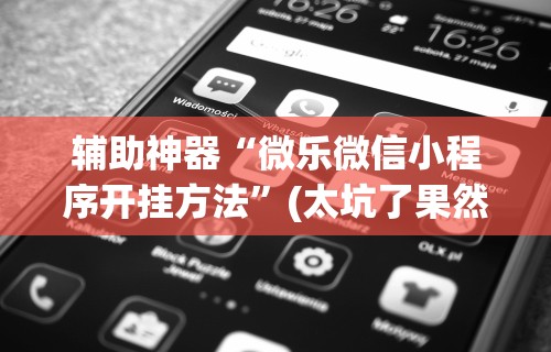 辅助神器“微乐微信小程序开挂方法”(太坑了果然有挂)