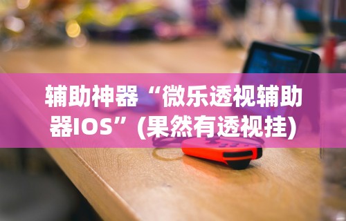 辅助神器“微乐透视辅助器IOS”(果然有透视挂)