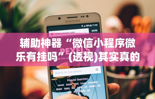 辅助神器“微信小程序微乐有挂吗”(透视)其实真的有挂