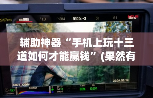 辅助神器“手机上玩十三道如何才能赢钱”(果然有透视挂)