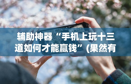 辅助神器“手机上玩十三道如何才能赢钱”(果然有透视挂)