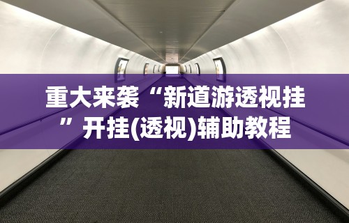 重大来袭“新道游透视挂”开挂(透视)辅助教程