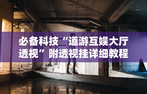 必备科技“道游互娱大厅透视”附透视挂详细教程