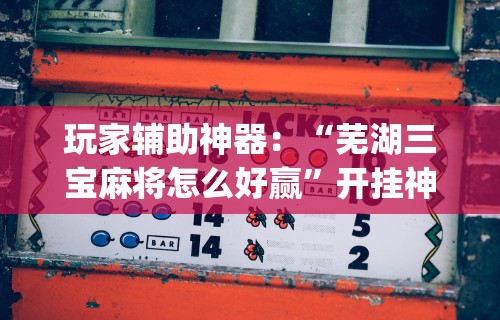 玩家辅助神器：“芜湖三宝麻将怎么好赢	”开挂神器{透视辅助}全揭秘