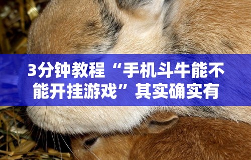 3分钟教程“手机斗牛能不能开挂游戏	”其实确实有挂