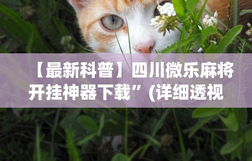 【最新科普】四川微乐麻将开挂神器下载	”(详细透视教程)-知乎