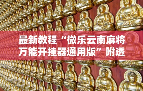最新教程“微乐云南麻将万能开挂器通用版”附透视挂详细教程
