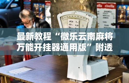 最新教程“微乐云南麻将万能开挂器通用版	”附透视挂详细教程