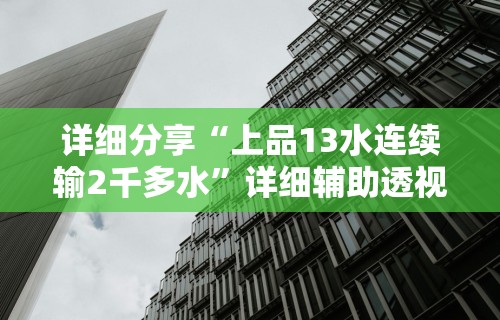 详细分享“上品13水连续输2千多水”详细辅助透视