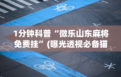 1分钟科普“微乐山东麻将免费挂	”(曝光透视必备猫腻)