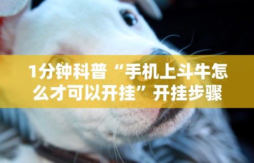 1分钟科普“手机上斗牛怎么才可以开挂”开挂步骤方法