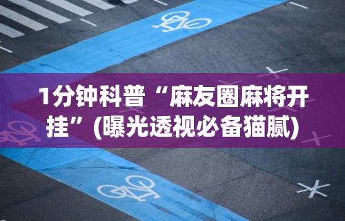 1分钟科普“麻友圈麻将开挂”(曝光透视必备猫腻)