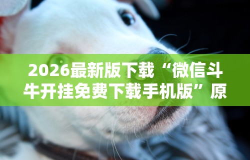2026最新版下载“微信斗牛开挂免费下载手机版	”原来可以开挂