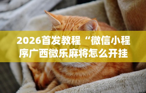 2026首发教程“微信小程序广西微乐麻将怎么开挂	”(透视曝光猫腻)