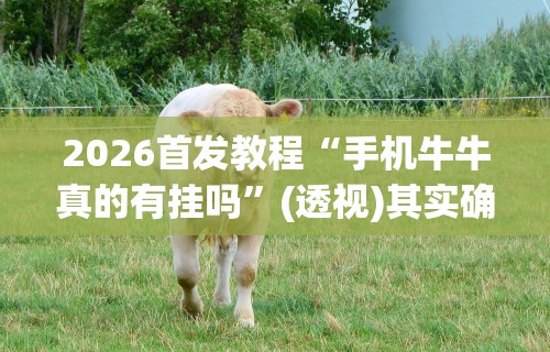 2026首发教程“手机牛牛真的有挂吗”(透视)其实确实有挂