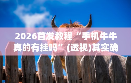 2026首发教程“手机牛牛真的有挂吗”(透视)其实确实有挂