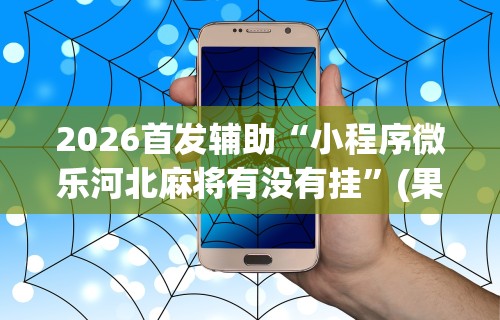 2026首发辅助“小程序微乐河北麻将有没有挂	”(果然有透视挂)