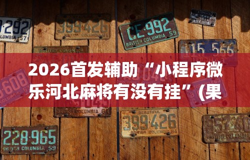 2026首发辅助“小程序微乐河北麻将有没有挂”(果然有透视挂)