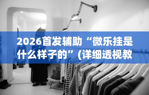 2026首发辅助“微乐挂是什么样子的”(详细透视教程)