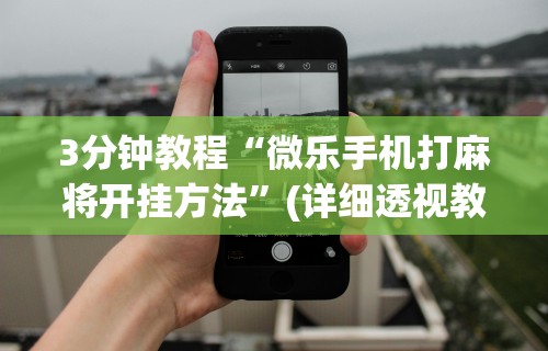 3分钟教程“微乐手机打麻将开挂方法”(详细透视教程)