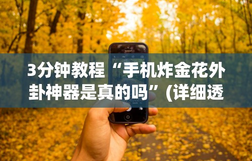 3分钟教程“手机炸金花外卦神器是真的吗”(详细透视教程)