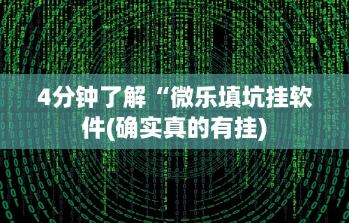 4分钟了解“微乐填坑挂软件(确实真的有挂) 4分钟了解“微乐填坑挂软件(确实真的有挂)