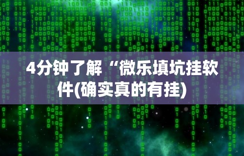 4分钟了解“微乐填坑挂软件(确实真的有挂) 4分钟了解“微乐填坑挂软件(确实真的有挂)
