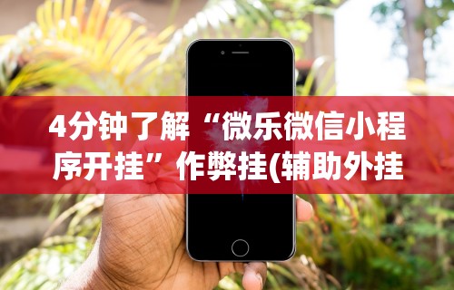 4分钟了解“微乐微信小程序开挂”作弊挂(辅助外挂+