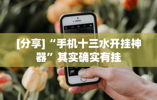 [分享]“手机十三水开挂神器”其实确实有挂