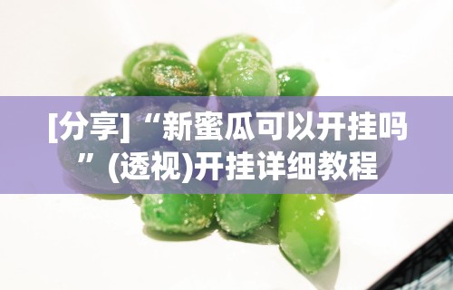 [分享]“新蜜瓜可以开挂吗”(透视)开挂详细教程