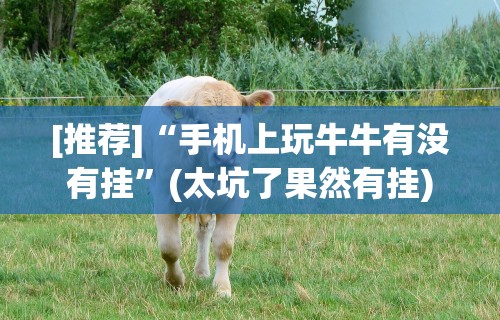 [推荐]“手机上玩牛牛有没有挂”(太坑了果然有挂)