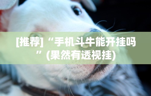 [推荐]“手机斗牛能开挂吗	”(果然有透视挂)