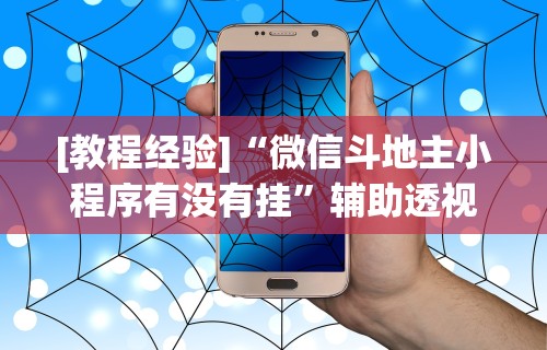 [教程经验]“微信斗地主小程序有没有挂	”辅助透视教程