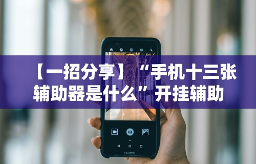 【一招分享】“手机十三张辅助器是什么	”开挂辅助详细步骤