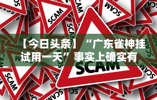 【今日头条】“广东雀神挂试用一天”事实上确实有挂