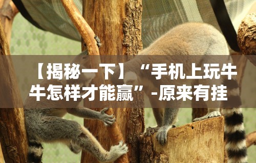 【揭秘一下】“手机上玩牛牛怎样才能赢”-原来有挂