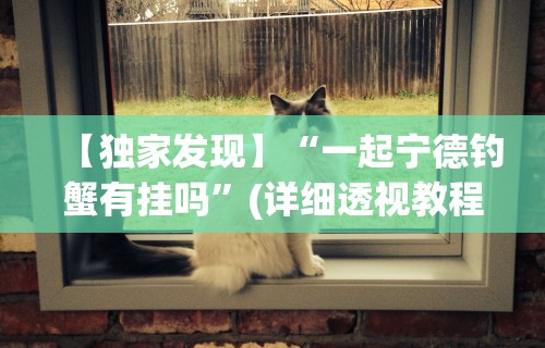 【独家发现】“一起宁德钓蟹有挂吗”(详细透视教程)