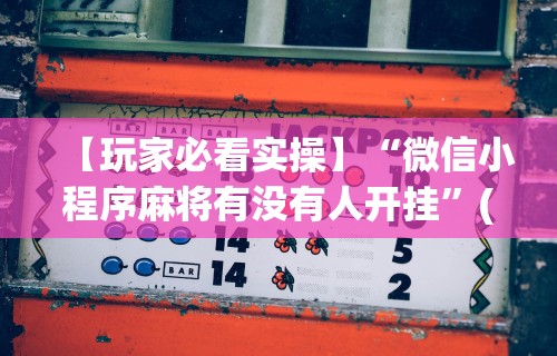 【玩家必看实操】“微信小程序麻将有没有人开挂”(助赢详细开挂教程)