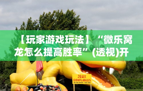 【玩家游戏玩法】“微乐窝龙怎么提高胜率”(透视)开挂详细教程