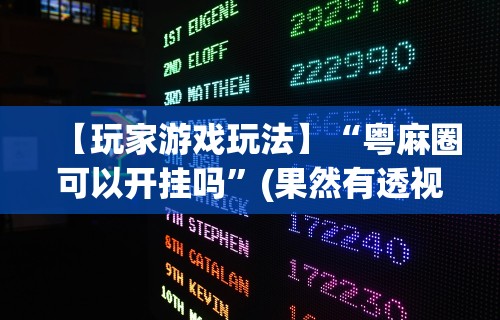【玩家游戏玩法】“粤麻圈可以开挂吗	”(果然有透视挂)