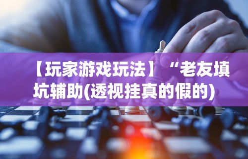 【玩家游戏玩法】“老友填坑辅助(透视挂真的假的)