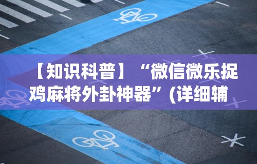 【知识科普】“微信微乐捉鸡麻将外卦神器	”(详细辅助脚本)