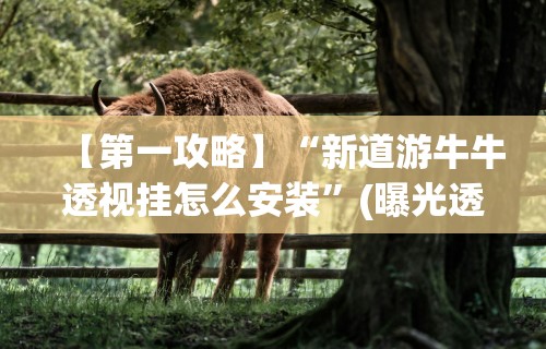 【第一攻略】“新道游牛牛透视挂怎么安装	”(曝光透视必备猫腻)