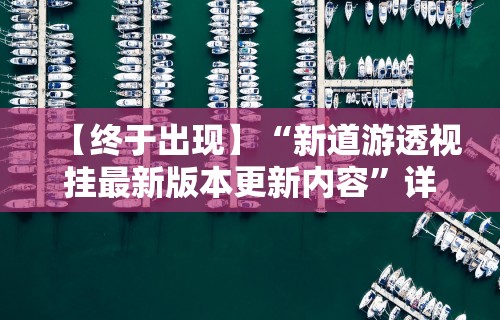 【终于出现】“新道游透视挂最新版本更新内容”详细辅助软件教程